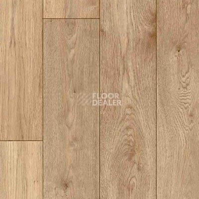 Линолеум Juteks Glory BRIZ 8_610M фото 1 | FLOORDEALER